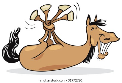 funny horse
