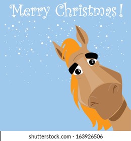 Funny horse with present, christmas background 