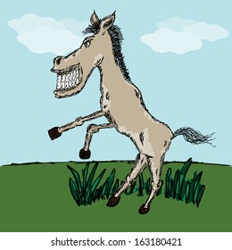 Funny horse sketch for your design, vector illustration, eps10. Glad to see you in my portfolio=)