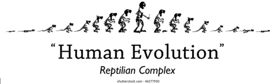 Funny Human Evolution
