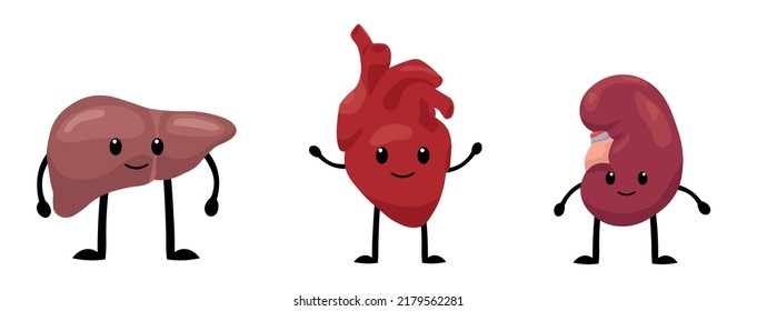 Funny human organs on white background