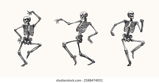 funny human skeleton dance set isolated various dynamic poses dead body movement hand drawn sketch card design element line art detailed engraving vector illustration