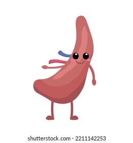 Funny Human Spleen On White Background