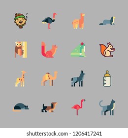 funny icon set. vector set about giraffe, dog, donkey and feeding bottle icons set.