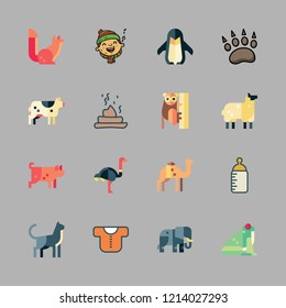 funny icon set. vector set about feeding bottle, animal, ostrich and penguin icons set.