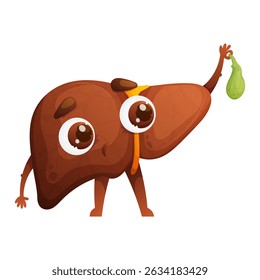 Funny illustration of a cartoon liver character, holding a gallbladder, showcasing the human anatomy. Suitable for educational purposes, health and wellness related content.