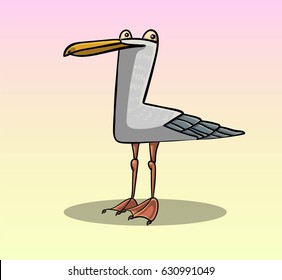 funny illustration, cartoon seagull