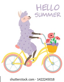 Funny illustration of a cute llama on a bike with flowers. Vector template for greeting card, banner, postcard, poster.