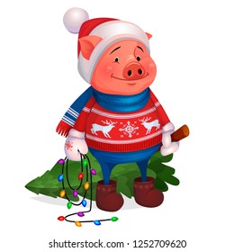 Funny illustration for the postcard Merry Christmas and Happy New Year of pig 2019, 2031. Cute Pig in red sweater with deer, mittens, scarf and hat, holds in hands felled Christmas tree, carries home.