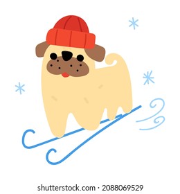 Funny illustration. Pug skiing. Vector flat icon illustration on white background. 