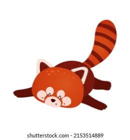Funny illustration of a red panda bear lying down. Vector illustration of a cute animal. Cute little illustration of Red Panda for kids, baby book, baby shower invitation, textile t-shirt.