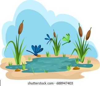 Funny illustration of a summer pond