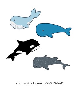 ilustraciones divertidas sobre varios tipos de ballenas