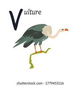 Funny image of a vulture and letter V. Zoo alphabet collection. Vector illustration