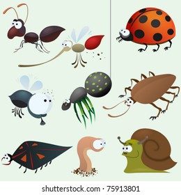 Funny Insect Set