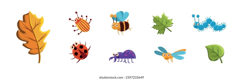 Funny Insect Small Crawling Animal and Leaf Vector Set