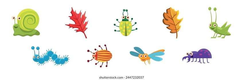 Funny Insect Small Crawling Animal Vector Set