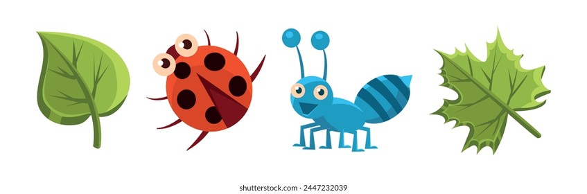 Funny Insect Small Crawling Animal Vector Set