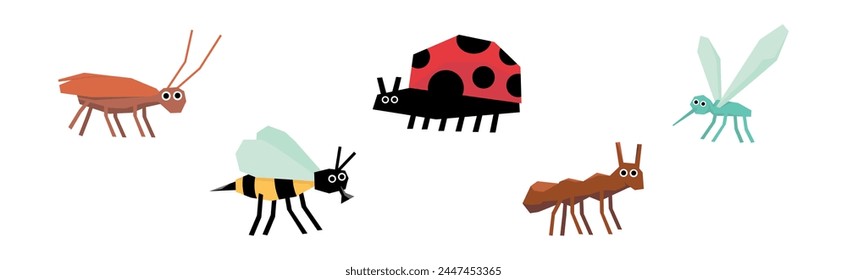 Funny Insect Small Crawling Animal Vector Set