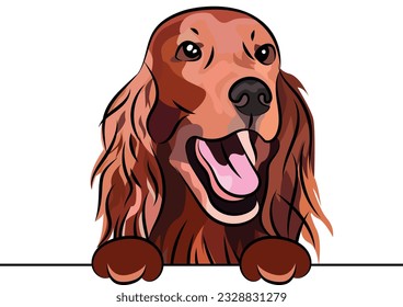 Funny Irish setter dog with paws in a pocket,  vector illustration. Funny dog smiling. Cute dog head on a white background, isolated logo. Hand-drawn mascot. Funny dog muzzle over a white wall. BFF. 