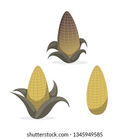 Funny isolated yellow and rotten corns with and without green leaves. White background. Cartoon style illustration. Vector.