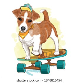 Funny jack russell on a skateboard. Vector illustration. Pedigree dog. Puppy wearing a cap. Cool dog. Wall stickers