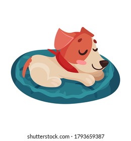 Funny Jack Russell Terrier Character Sleeping on Pillow Vector Illustration