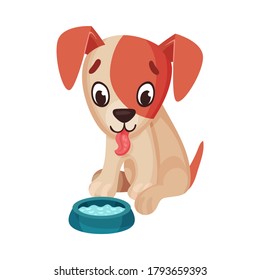 Funny Jack Russell Terrier Character Drinking Water Vector Illustration