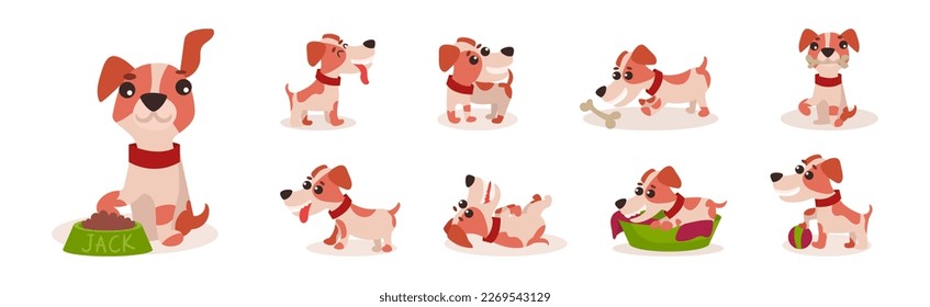 Funny Jack Russell Terrier Puppy with Cute Snout Vector Set