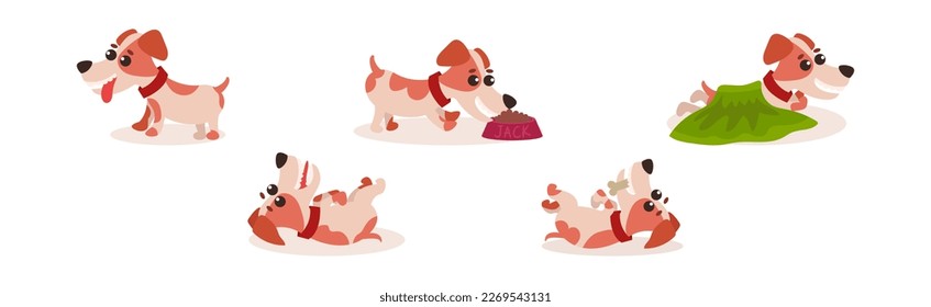 Funny Jack Russell Terrier Puppy with Cute Snout Vector Set