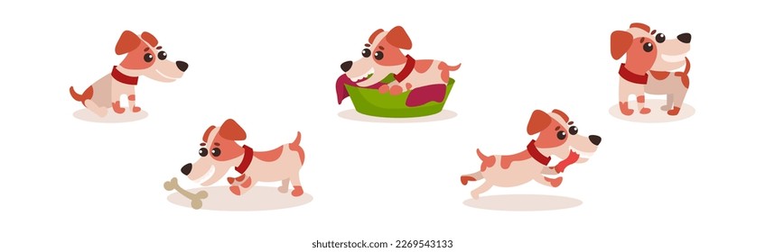 Funny Jack Russell Terrier Puppy with Cute Snout Vector Set