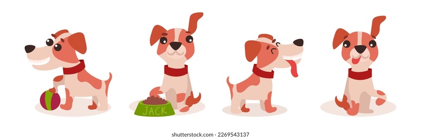 Funny Jack Russell Terrier Puppy with Cute Snout Vector Set