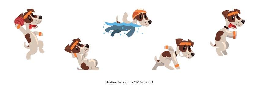 Engraçado Jack Russell Terrier Cachorro Do Esporte Atividade Vetor Set