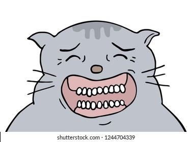 funny joking cat