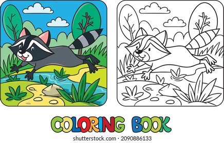 Funny jumping raccoon. Kids vector coloring book