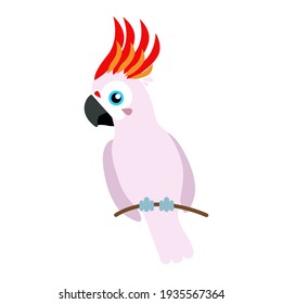 Funny Kakadu bird, vector art illustration