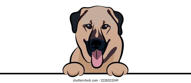 Funny Kangal Turkish dog with paws over a white wall, in a pocket vector illustration. Funny dog smiling. Cute dog head on a white background. Hand-drawn mascot. Smiling dog muzzle. BFF.