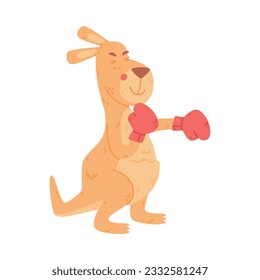 Funny Kangaroo Marsupial Animal Fighting with Boxing Gloves Vector Illustration