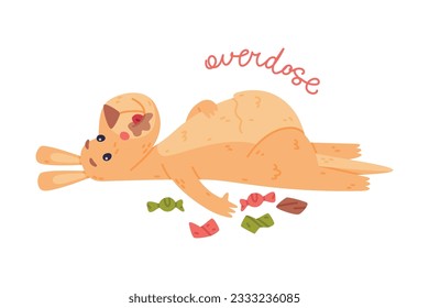 Funny Kangaroo Marsupial Animal Lying Overdose with Chocolate Sweets Vector Illustration