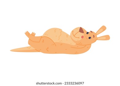 Funny Kangaroo Marsupial Animal Lying on the Ground Vector Illustration