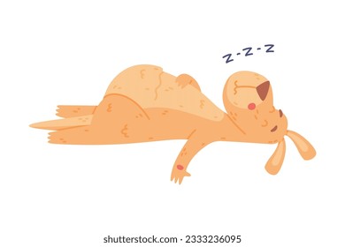 Funny Kangaroo Marsupial Animal Sleeping and Snoring Lying on the Ground Vector Illustration