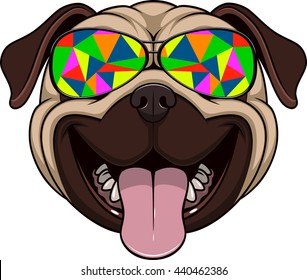 Funny kind pug