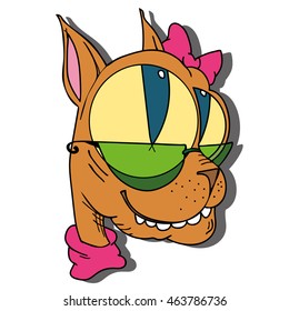 funny kitten with glasses