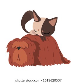 Funny Kitten Lying on the Dogs Back, Cute Pets Animals Characters are Best Friends Vector illustration