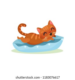 Funny kitten lying on a pillow, mischievous cute little cat vector Illustration on a white background