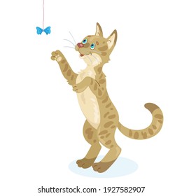 Funny kitten plays with a bowknot, standing on its hind legs. In cartoon style. Isolated on white background. Vector illustration