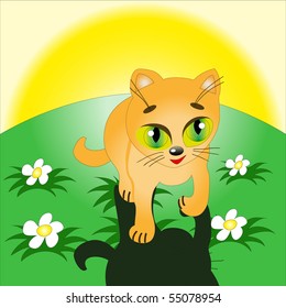 Funny kitty