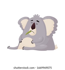 Funny Koala ate too much leaves and dozed off. Vector cute animal in cartoon style .