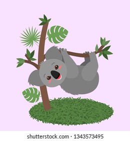 Funny koala baby hanging on a tree with leaves. flat vector illustration isolated on white background