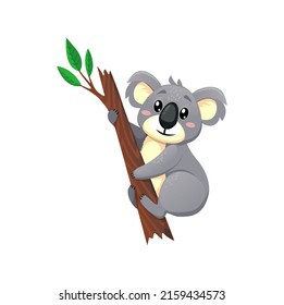 Funny koala cartoon character sitting on eucalyptus branch isolated cute australian animal. Vector Koala bear funny personage on tree. Gray fluffy kids toy, cheerful childish animal of Australia